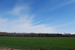 Open land for cultivating near Nassawadox VA