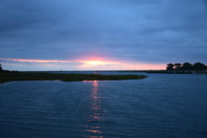 Oyster Sunrise