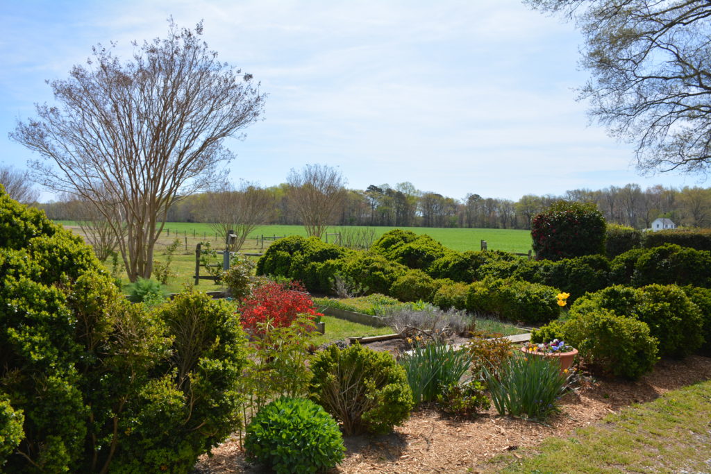 Virginia historic home for sale « Life and Real Estate on the Eastern