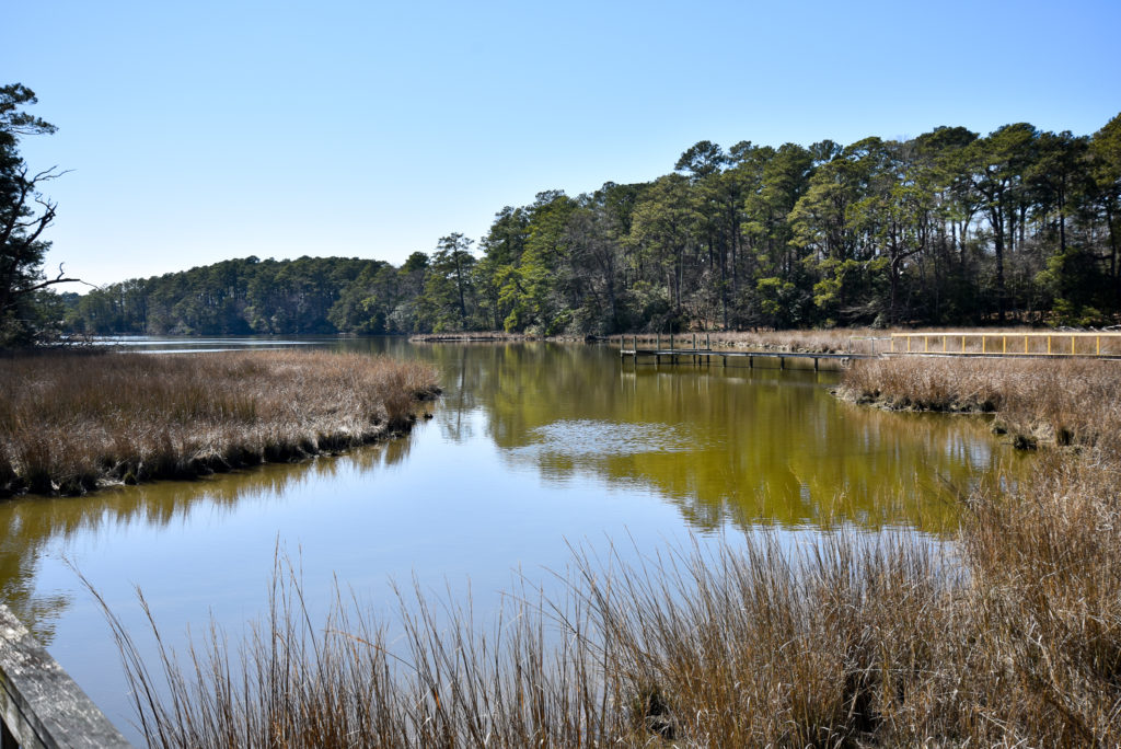 Eastern Shore Virginia real estate « Life and Real Estate on the