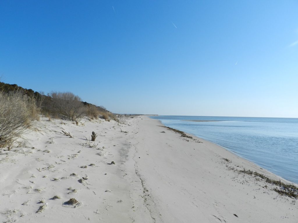 Eastern Shore Virginia real estate « Life and Real Estate on the